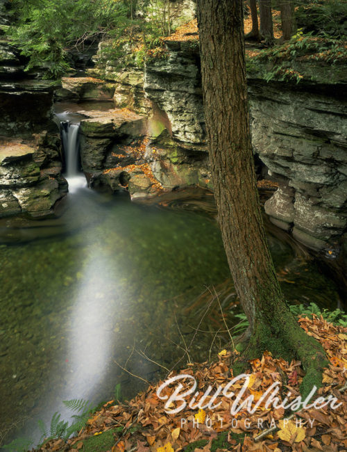 Flow of Tranquility
