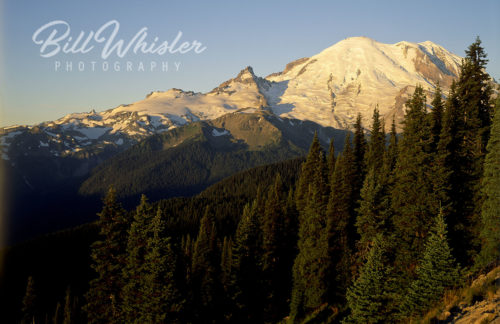 Mount Rainer