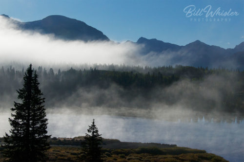 Molas Fog