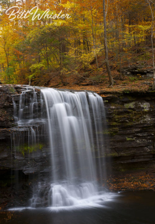 Autumn Flow